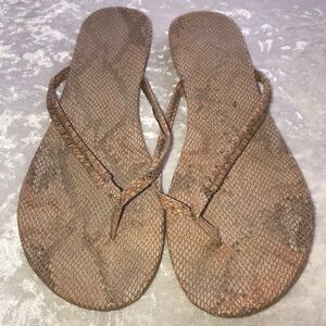 Reptile like thong flat sandals